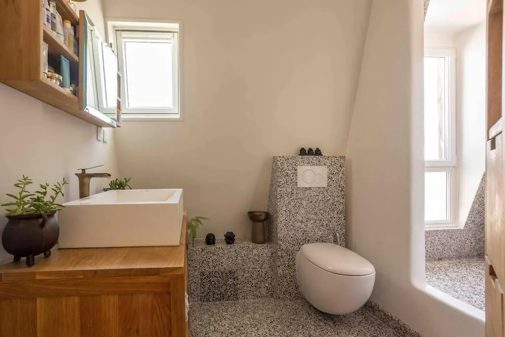 Appartement Dernier Etage A Montmartre Parijs